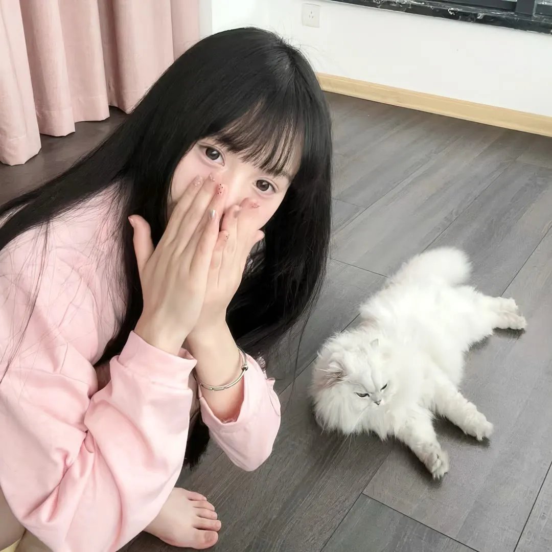 纽约鼠患